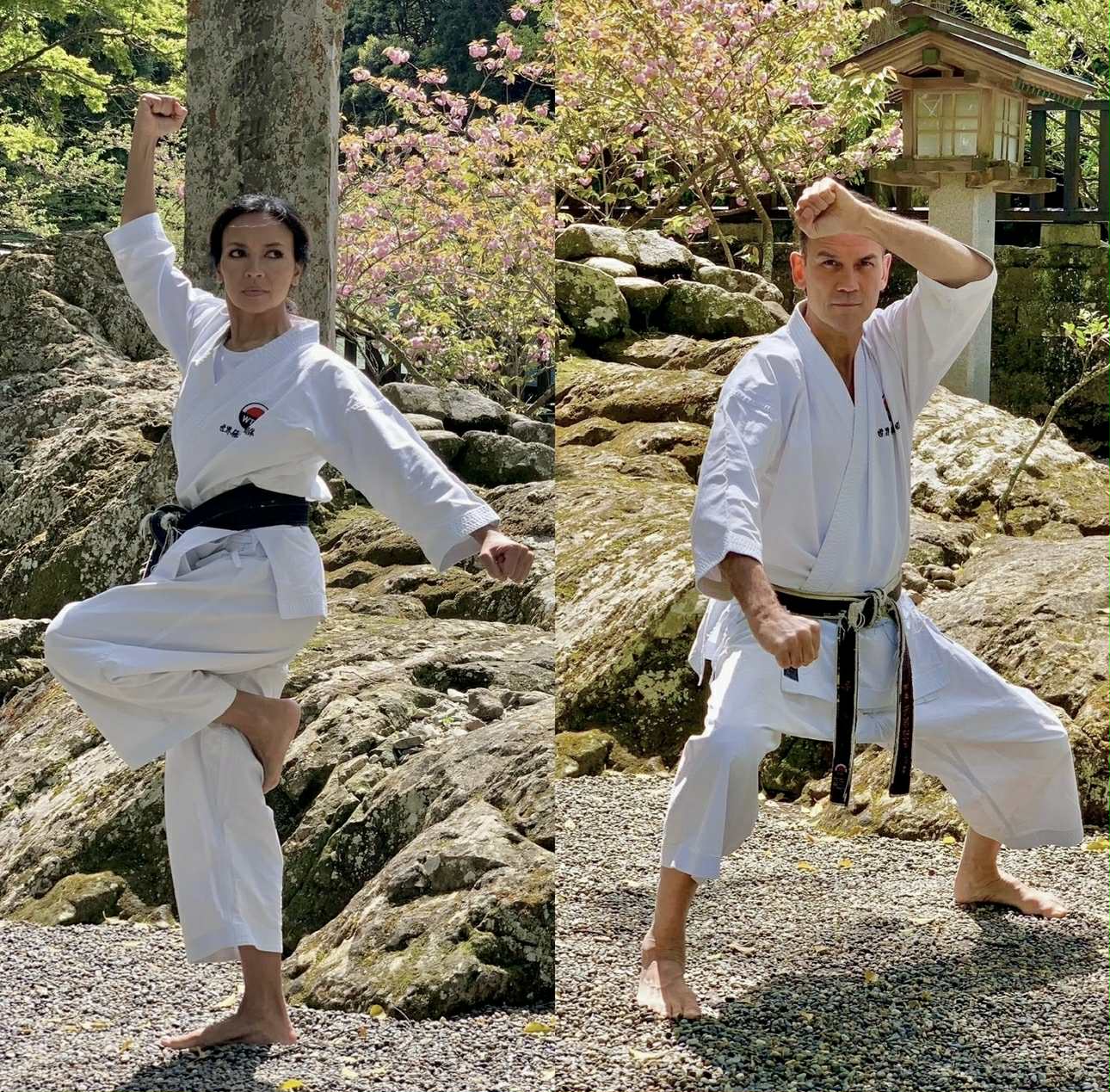 Samling i februar 2026! Trykk på bildet for mer info!